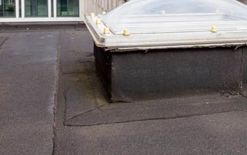 disadvantages of Bishop Middleham flat roofs